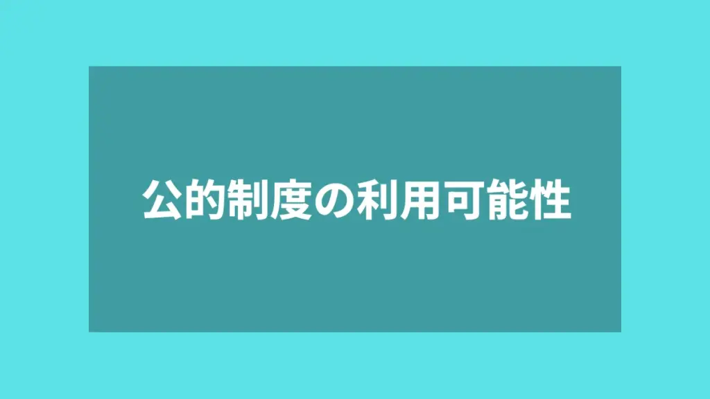 公的制度の利用可能性